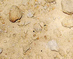 Песок карьерный мелкой зернистости